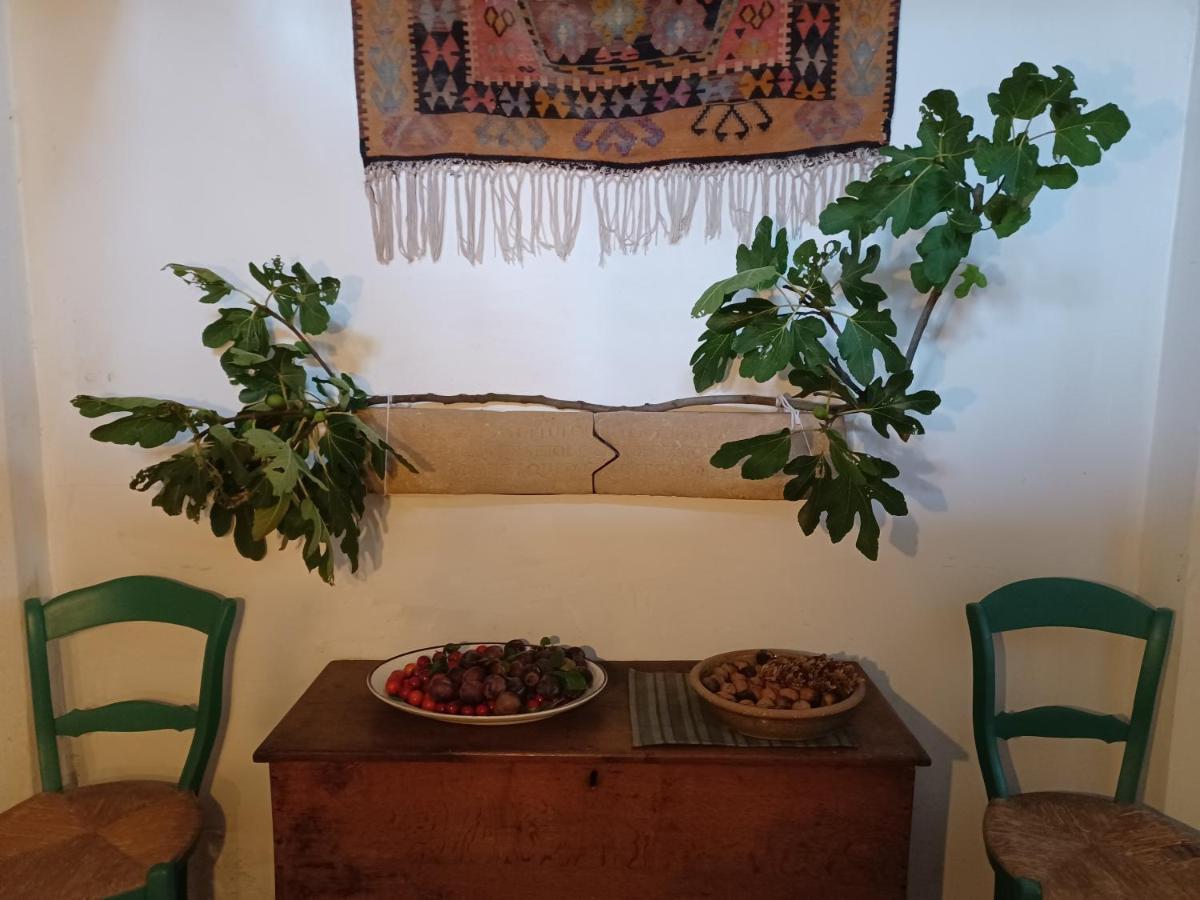De Zomere B&B 布鲁日 外观 照片