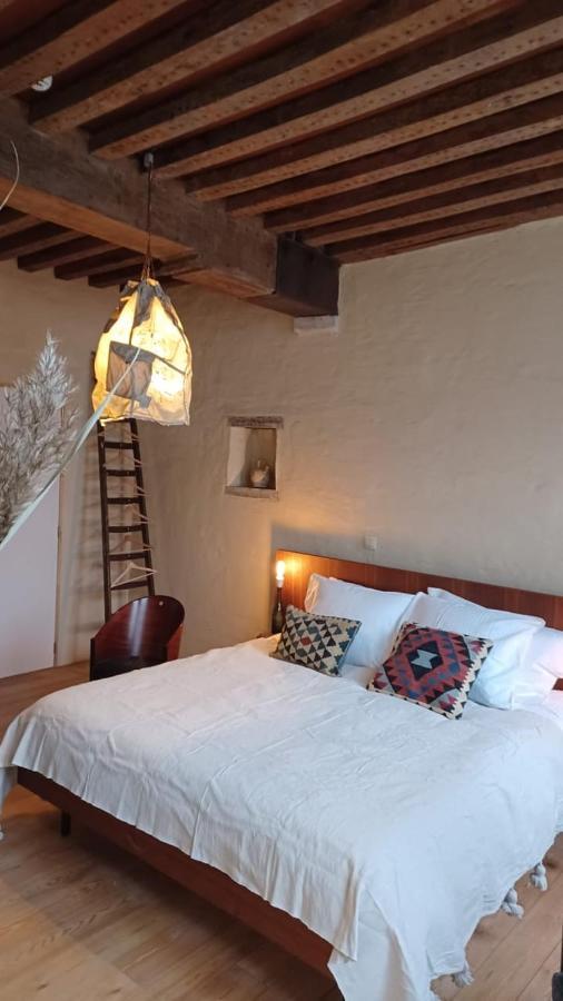 De Zomere B&B 布鲁日 外观 照片